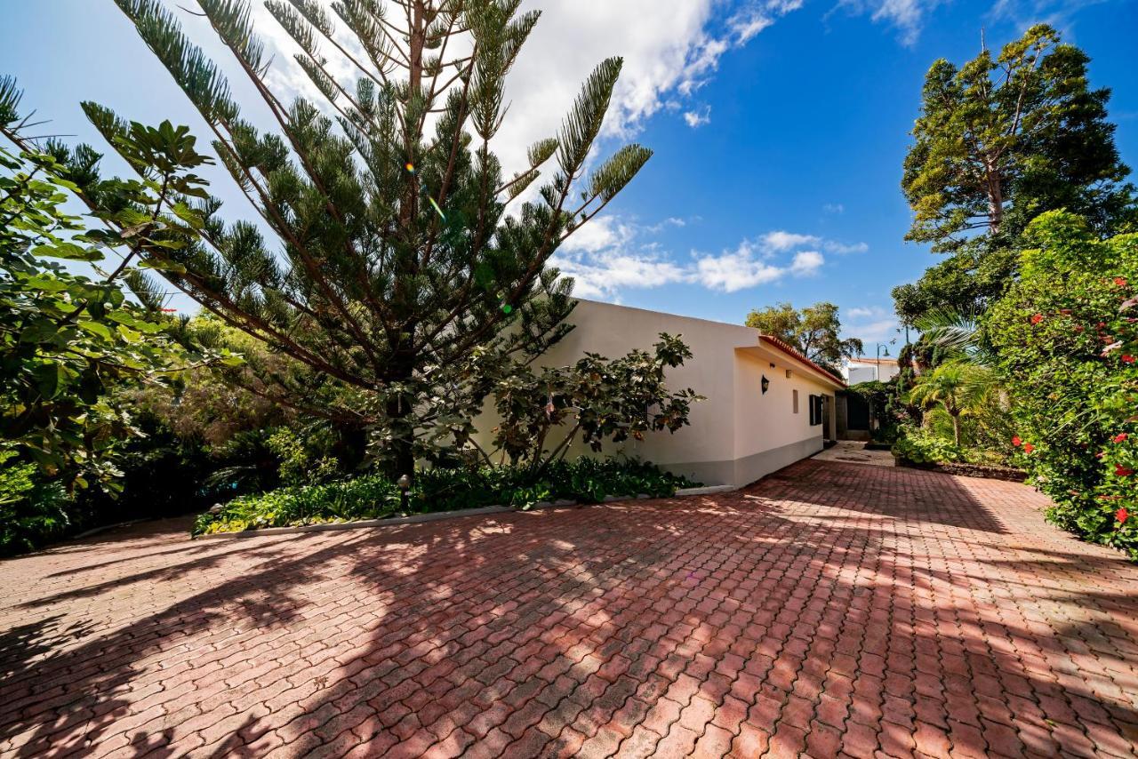 Villa Albatroz Caniço Exteriér fotografie